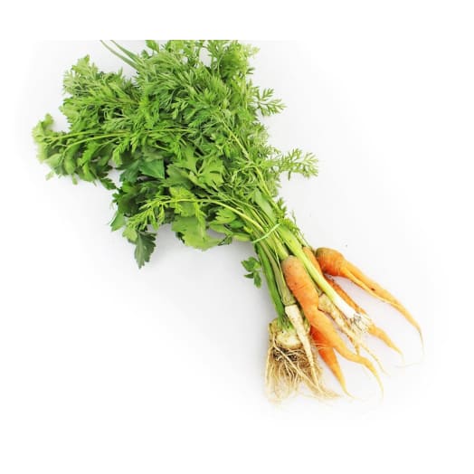 FRISCO ORGANIC Włoszczyzna pęczek BIO