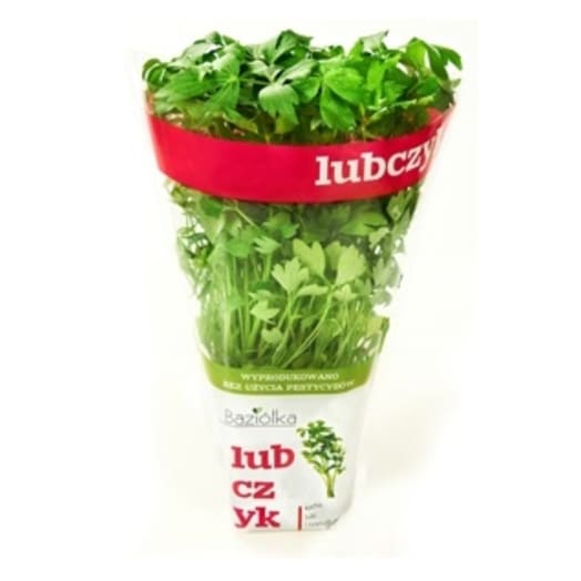 BAZIÓŁKA Lubczyk