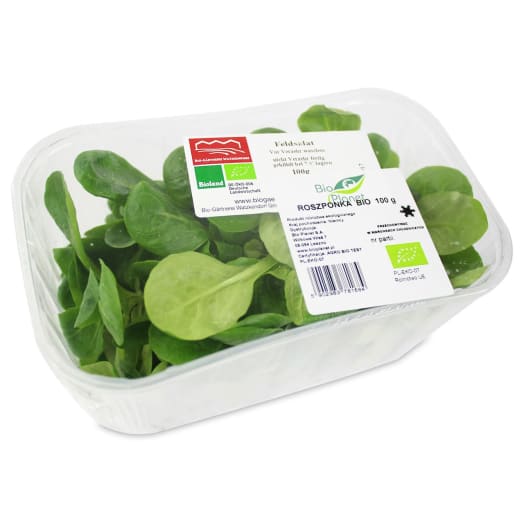 FRISCO ORGANIC Roszponka świeża niemyta BIO